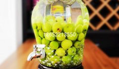 玻璃酵素瓶制作方法是什么？酵素的好處是什么？